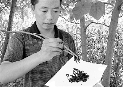 按此在新窗口瀏覽圖片