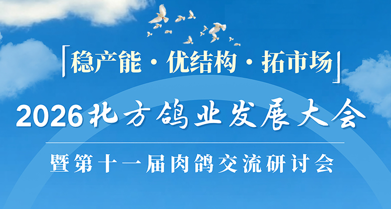 關(guān)于舉辦2026北方鴿業(yè)發(fā)展大會暨第十一屆鴿業(yè)交流研討會的通知